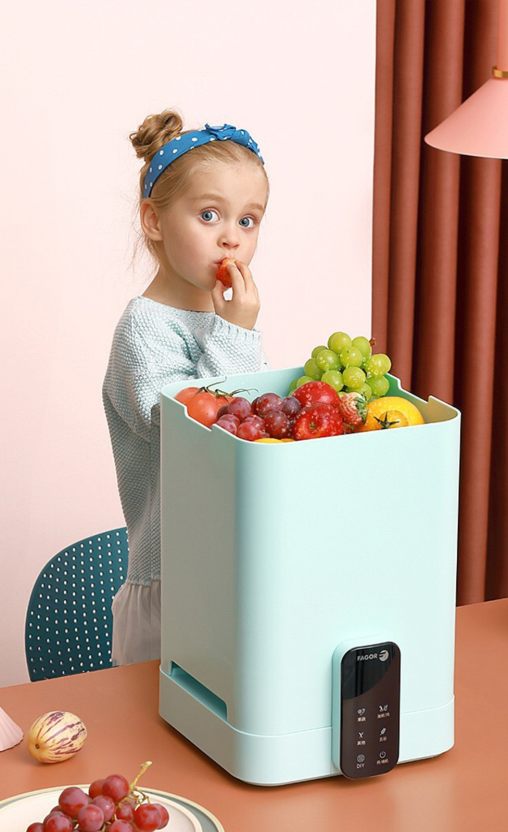 Fruit and Vegetable Washer - Smart