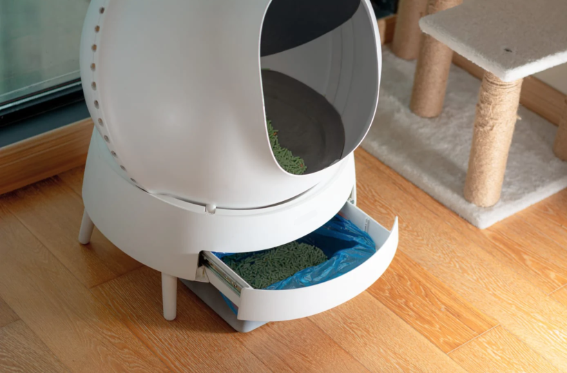 Companion kitty outlet litter