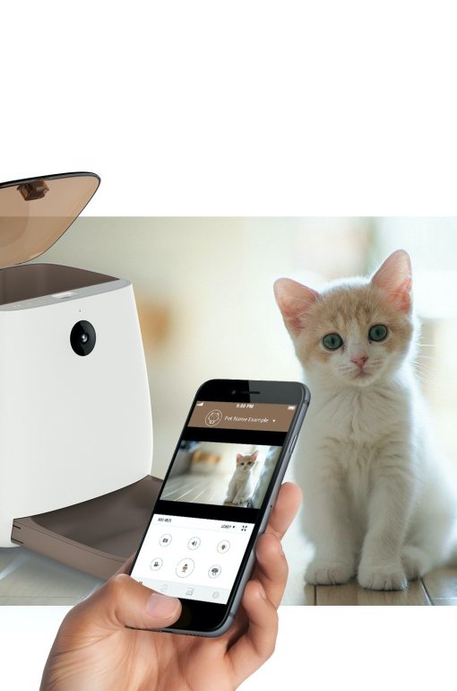 Cat shop feeder app