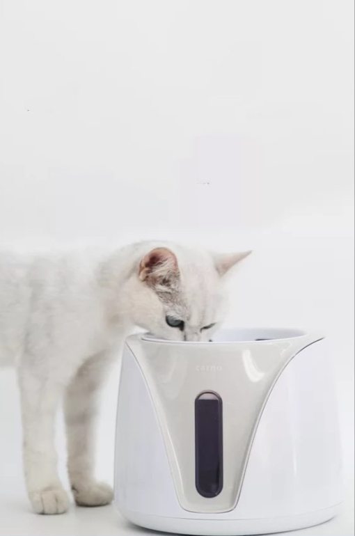 Variant limoen schreeuw Pet Drinking Water Dispenser | DesignNest.com