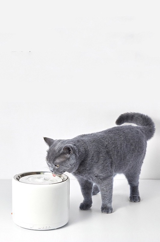 Pet Companion Pet Hygiene Ceramic Cat Water Fountain Color : Blue Smart Cat and Dog Drinking Water Pet Ultra Silent Water Dispenser 