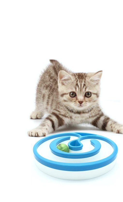 Cat roller ball toy best sale