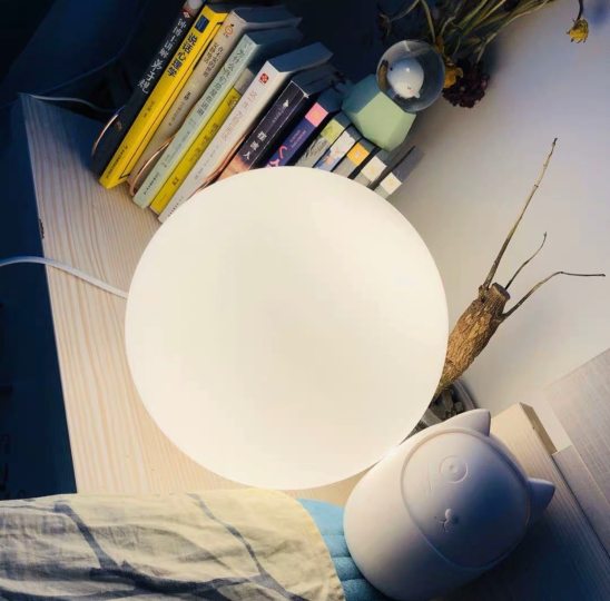 Moon Globe Cordless LED Table Lamp with Rechargeable Batteries