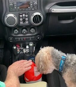 Dog water bowl outlet for car cup holder