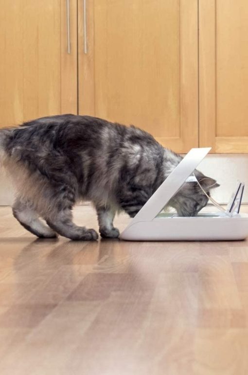 SureFeed Microchip Pet Feeder