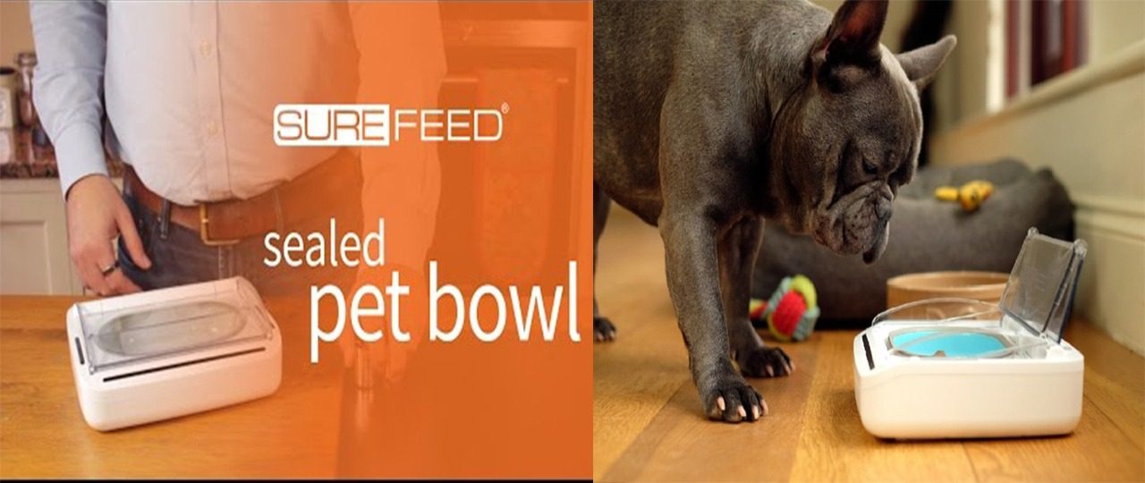 SureFeed Microchip Pet Feeder