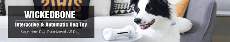 World's First Smart & Interactive Dog Toy - WickedBone 