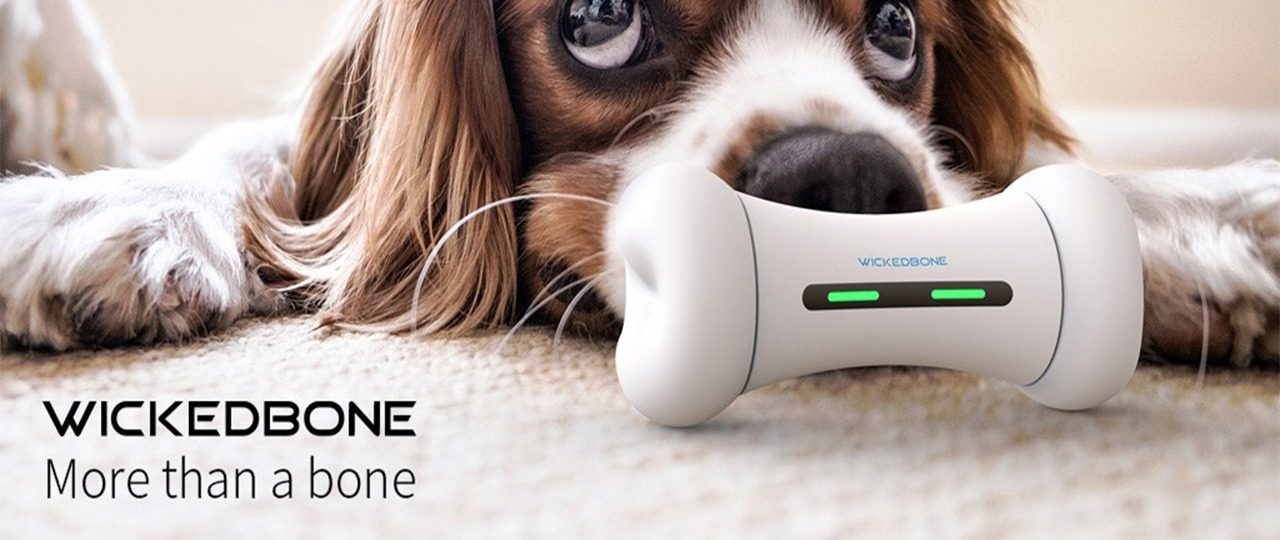 WICKEDBONE: World's First Smart & Interactive Dog Toy by Cheerble