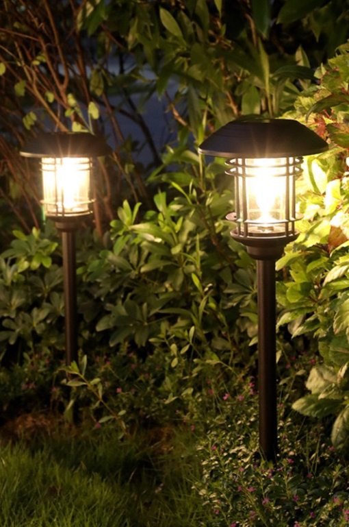 Haarvaten isolatie schrobben Solar Outdoor Courtyard Lamp | DesignNest.com