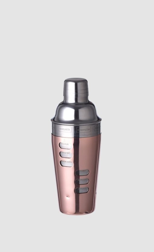 Cocktail Shaker DesignNest.com