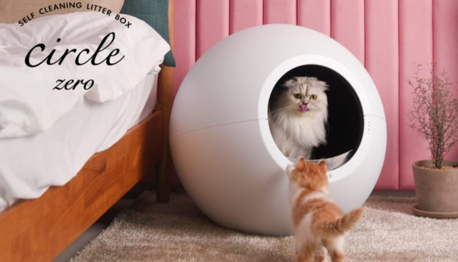 Circle hot sale litter box