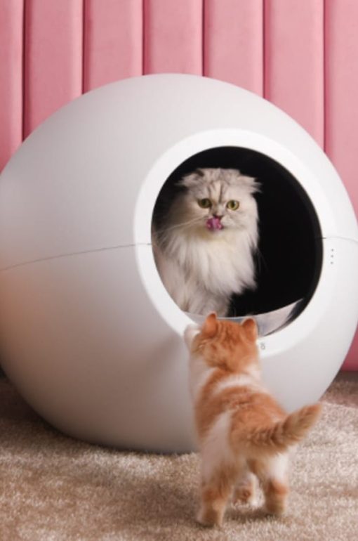 Circle cat 2024 litter box