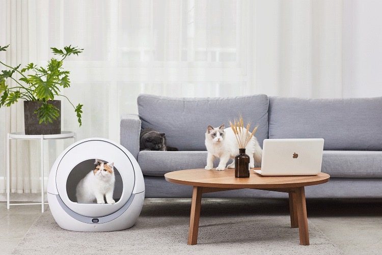 Warm-Cool Smart Pet House | DesignNest.com