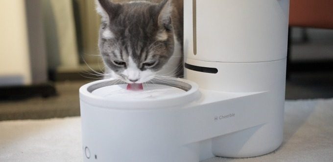 Drinkie Your pet s favorite self cleaning water dispenser