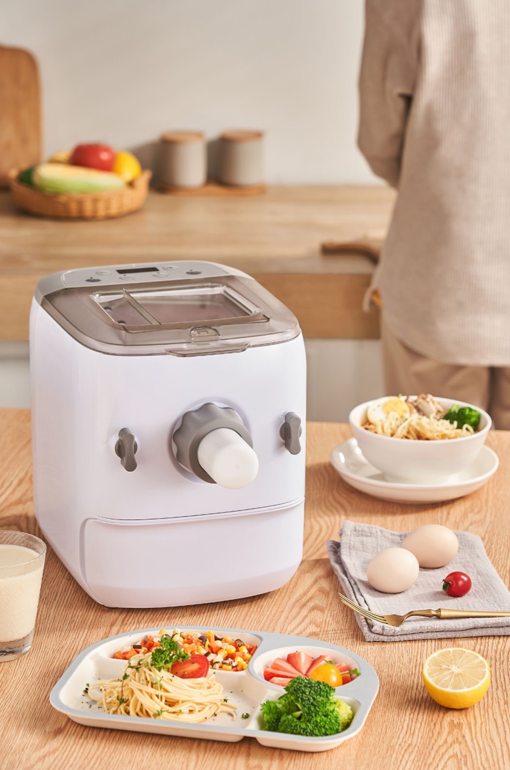 New Electric Auto Noodle Maker Dough Mixer Spaghetti Pasta