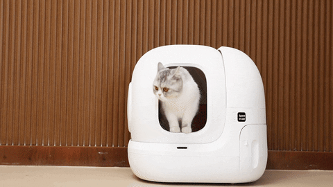 PETKIT PURA MAX: The Self-cleaning Cat Litter Box