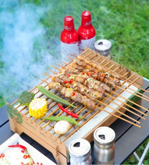 BBQ Grill Disposable Barbecue Grill Outdoor Picnic Barbecue