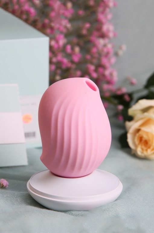 biird sex toys Biird Bae Slim Soft Silicone Suction Cup Base Dildo Jouissance Club Ed main image 1
